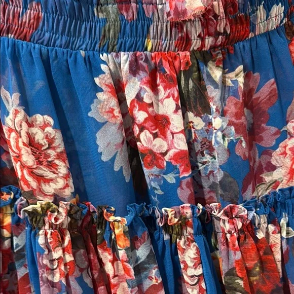 Misa Floral Blue Sleeveless Dress - Picture 2 of 6